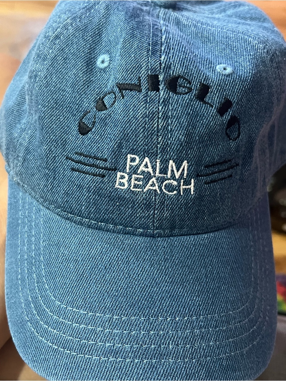 Volcom Palm Beach Blue Denim Baseball Cap